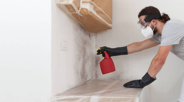 Professional Bathroom Mold Removal technician working in Victoria, TX